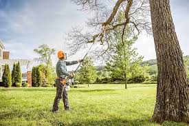 Best Tree Cabling and Bracing  in Brazil, IN